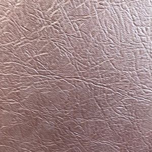 Meet your Posher, Brenden